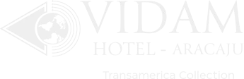 VIDAM